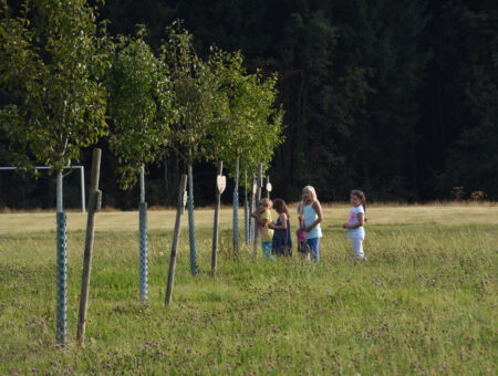 Für jedes Kind ein Baum