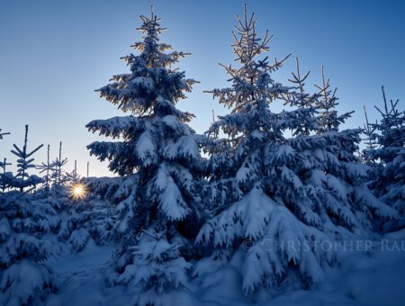 Weihnachtsgruß der Vorstandschaft an die Freunde des Fichtelgebirges